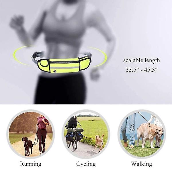 Reflekterande elastisk sport midjeväska hundkoppel set dragrep husdjur hund löpbälte elastisk handsfree jogging drag hundkoppel