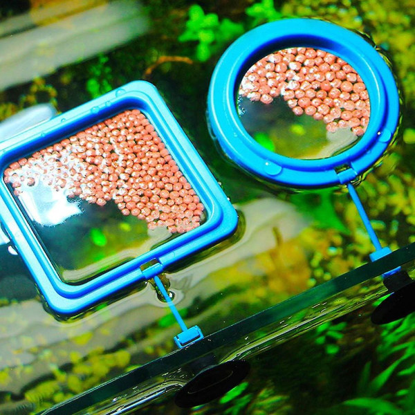 4st Aquarium Fish Feeder Matningsring Fyrkantig Rund Flytande Matcirkel