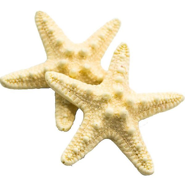 2-pakkaus meritähti hiuspidikkeitä Mermaid hiuspidikkeitä hartsi Pretty Beach hiuspidikkeitä tytöille (meritähti)