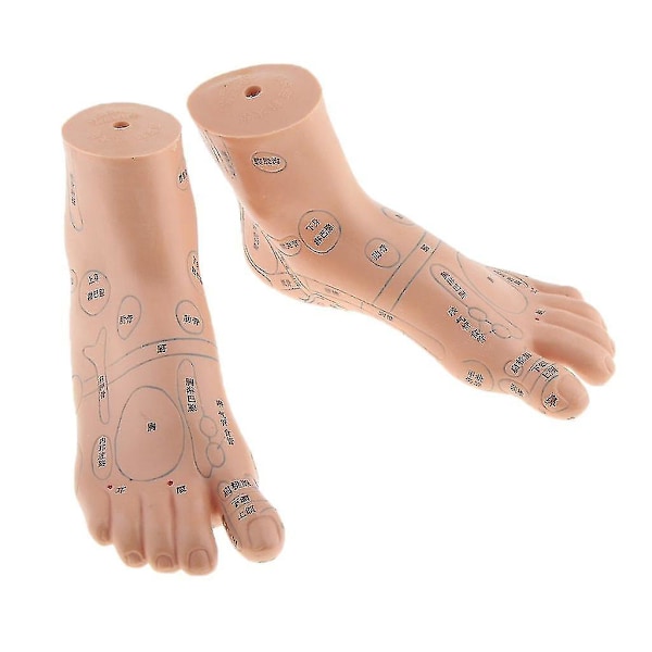 2 stycken fotreflexologimassagemodell engelsk kod Tcm fotreflexologi