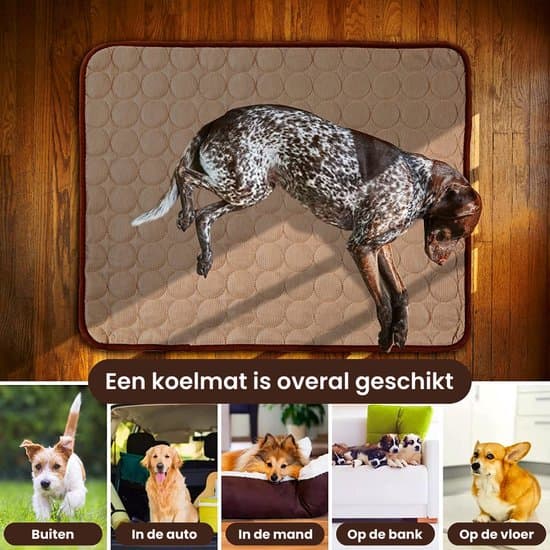 Kjølematte for hund og katt | 60 x 50 CM Brun