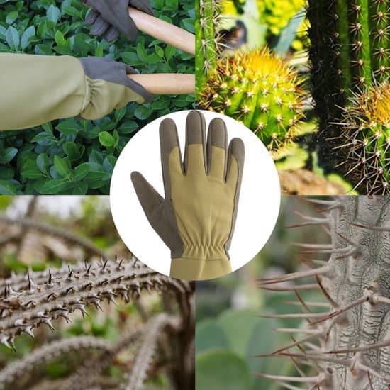 Langærmede havehandsker – Rosenbeskæringshandsker – Tåler torne og er holdbare – Unisex, én størrelse – Til sommer og efterår – Beskyttelse mod stik