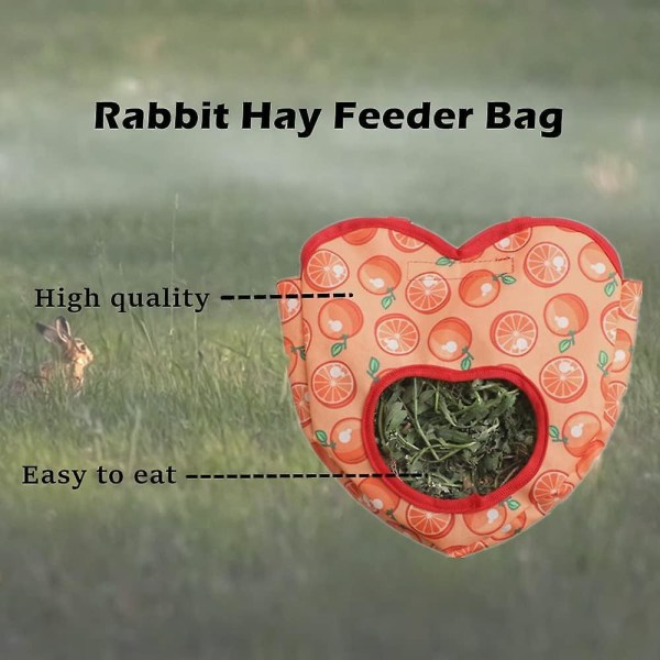 Strawberry Love Hay Bag - Hängande matnings- och förvaringsväska för kanin, marsvin, chinchilla, hamster, smådjur