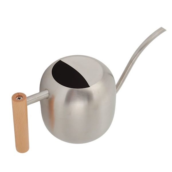Vattenkanna Multifunktionell Hög Kapacitet Vattenkruka med Lång Pip för Inomhus Utomhus Växter 1200ML Silver