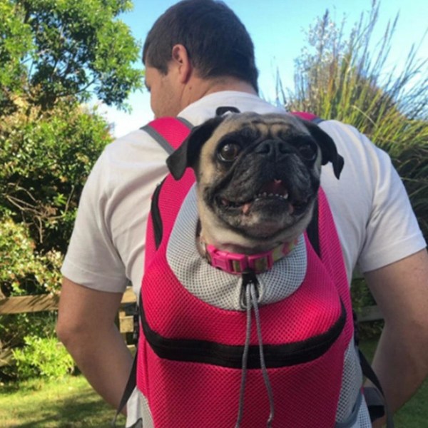 Rejser Pet Hundebærer Puppy Travel Mesh rygsæk Front Bærbar skuldertaske Rose S
