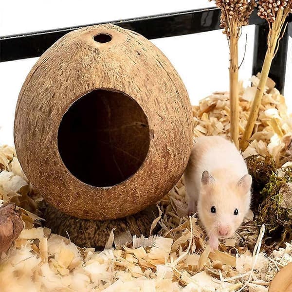Kokosnøddehus Hamsterhus Seng til Gerbiler Mus Smådyrsbur Habitat Indretning