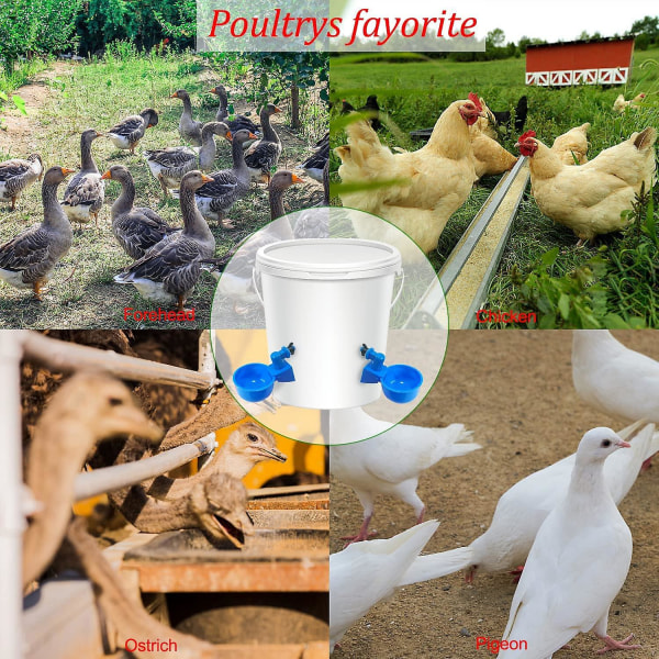 12-delers automatisk fjærfedrikkersett med stanseverktøy for kyllinger, ender og fjærkre i bakgården