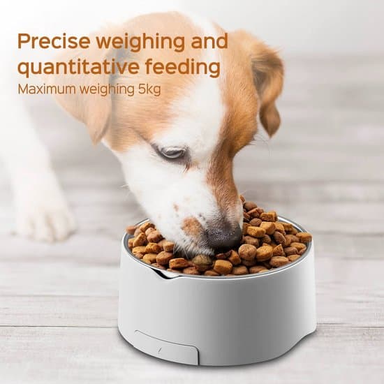 Kattefoderautomat - Hundefoderautomat - Digital fodervægt til hunde og katte - 5 kg / 1 g nøjagtighed - Hvid - 1 stk
