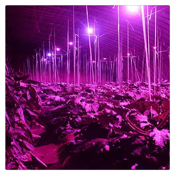 18W LED plantelys E27 18 LED fullspektrum plantelys LED plantelys