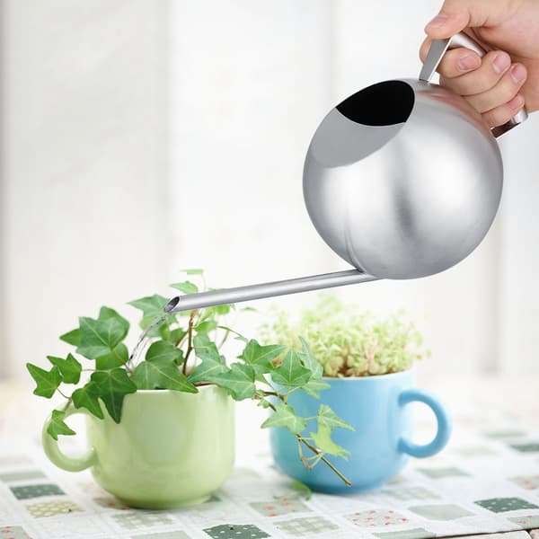 Vandkande i rustfrit stål 1000 ml med lang tud, rund spredekande til hjemmehaveplanter