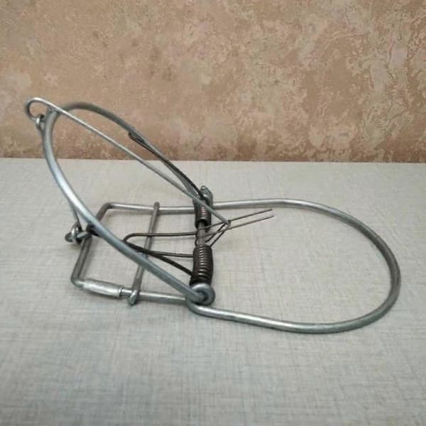 Classic Mousetraps Effective Rat Trap Clips Mechanical Catch and Kill