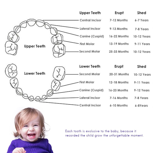 Trææske til opbevaring af mælketænder og navlestreng til baby