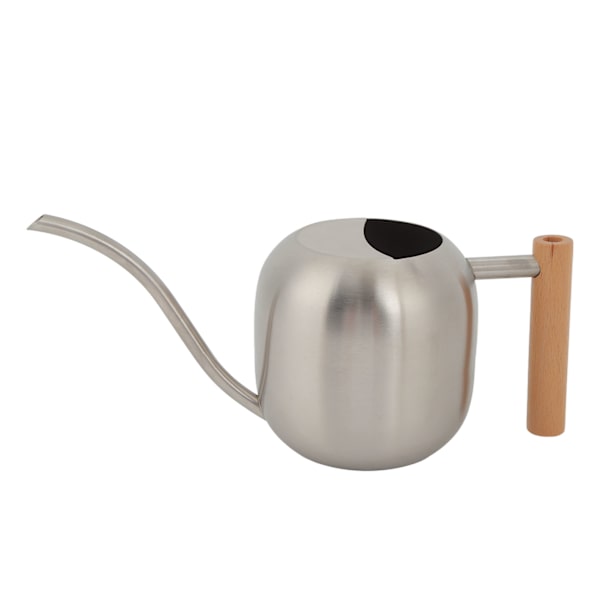 Vattenkanna Multifunktionell Hög Kapacitet Vattenkruka med Lång Pip för Inomhus Utomhus Växter 1200ML Silver