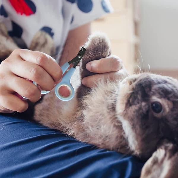 Adjustable Rabbit Harness, 2 Pieces with Elastic Leash Soft Vest Rabbit Leash Harness for Small Animals Jogging Walking Running Pet Harness Kitty