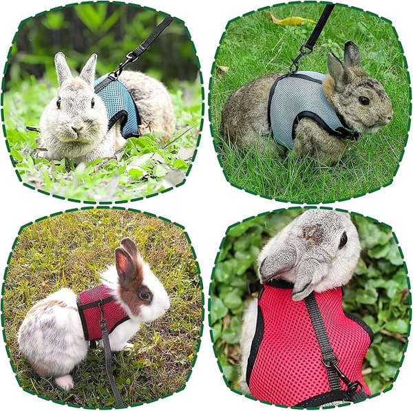 Adjustable Rabbit Harness, 2 Pieces with Elastic Leash Soft Vest Rabbit Leash Harness for Small Animals Jogging Walking Running Pet Harness Kitty