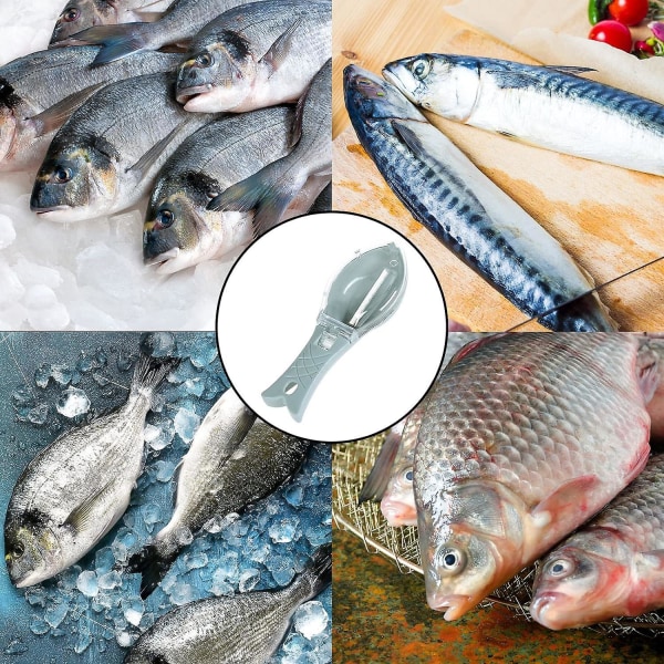 Vihreä kalan ihoharja - Poistaa kalan ihon ja hilseet nopeasti, täydellinen kotiin, ravintolaan ja keittiöön