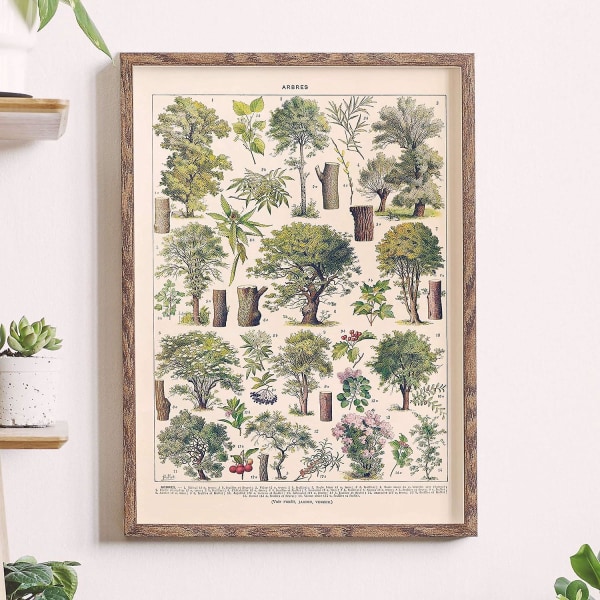 Vintage Trees print - Puutyypit (30 x 40 cm)