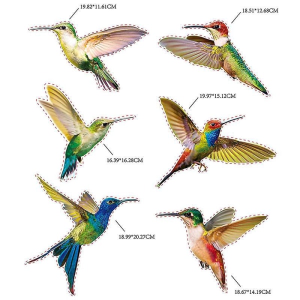 6 kaunista Hummingbird-ikkunatarraa - Suojaa lintuja ikkunoiden törmäyksiltä koristeellisilla staattisilla kiinnikkeillä