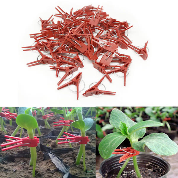100 stk. Plantegraftklips Plast Grafting Clips Praktiske Haveplanteklips