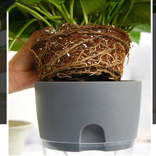 Selvvandende plantekasse bomuldsreb plastik dekorativ plantepotte til indendørs udendørs planter blomster urter grå 15,3 cm/6 tommer diameter