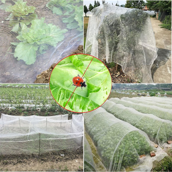 Hyönteistentorjuntaverkko 10 m x 2 m kasvien, kukkien ja vihannesten suojaamiseen