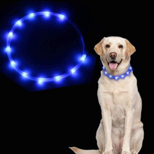 Blå USB genopladelig LED lys op hundehalsbånd med justerbar længde til små mellemstore hunde og katte