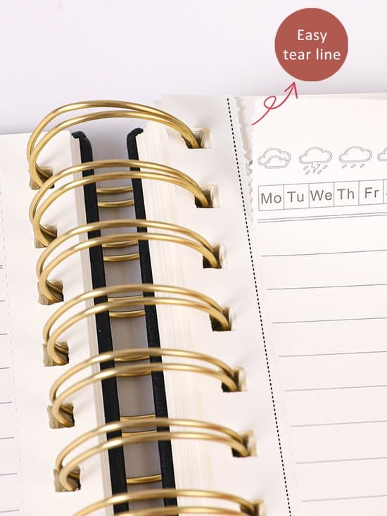 Notebook - Spiral Bound, Leather Cover - 300 Pages - 5-Column Layout - (10 x 8.07 inches) - Lined - Black Black