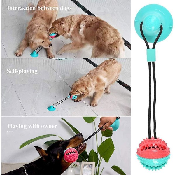Monikäyttöinen koiranlelupallo imukupilla ja joustavalla köydellä