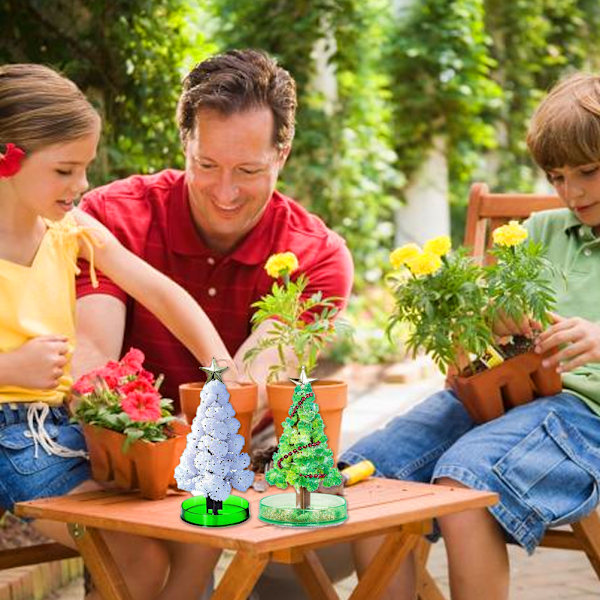 2-pack kristallväxande kit magiskt växande julgranskit för barn DIY kristalljulgran pedagogiska leksaker