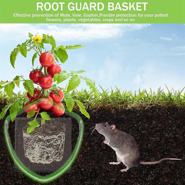 Plant Root Protection Baskets Wire Basket Mole and Vole Net Wire Baskets for Garden Pots Underground Root (12 pcs, 3 gallon)