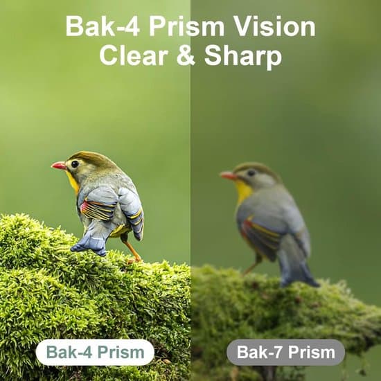 Kikkert 12x25 – Minikompakt kikkert for voksne og barn – Den perfekte gaven