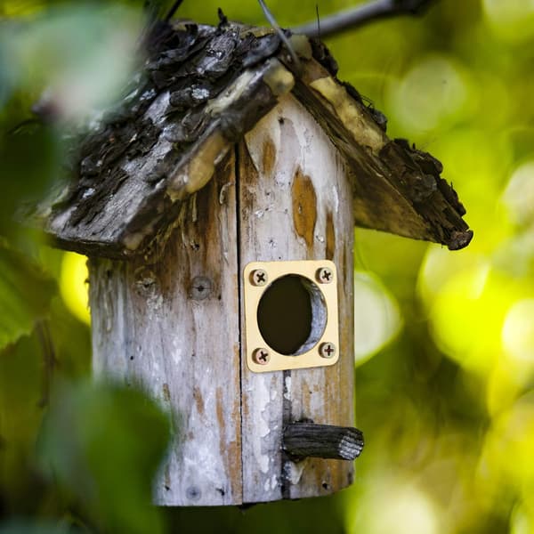 Lintulaudan suojus ruuvilla Lintulaudan suojus ulkokäyttöön