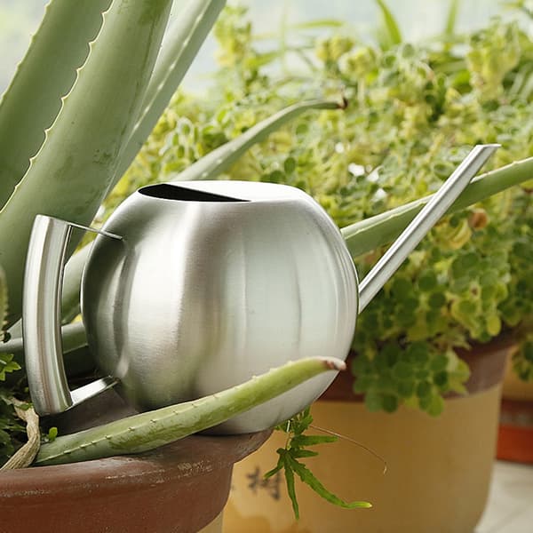 Vandkande i rustfrit stål 1000 ml med lang tud, rund spredekande til hjemmehaveplanter