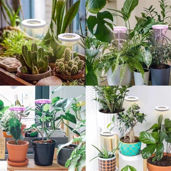Plant lamp - LED - Plant lamp for potted plants - USB adapter - Indoor plant lamp - Timer control - Dimmable - Suitable for small plants - White