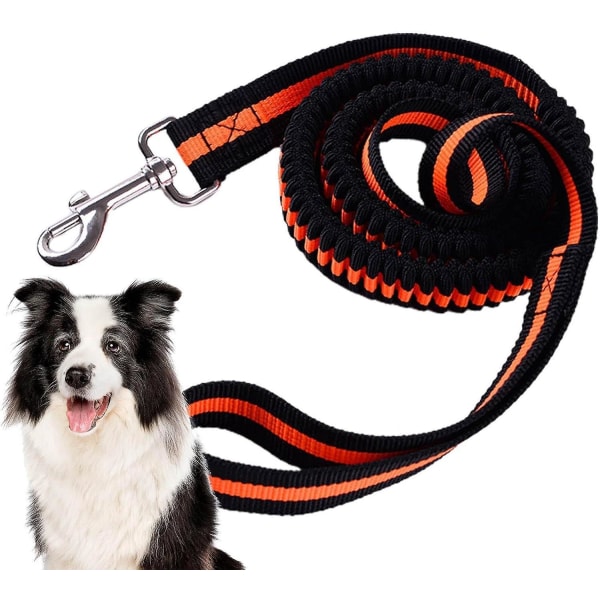 Bekvämt indragbart koppel för träning för husdjur - Säkerhetsbälte med hög elasticitet, långt orange koppel för stora hundar