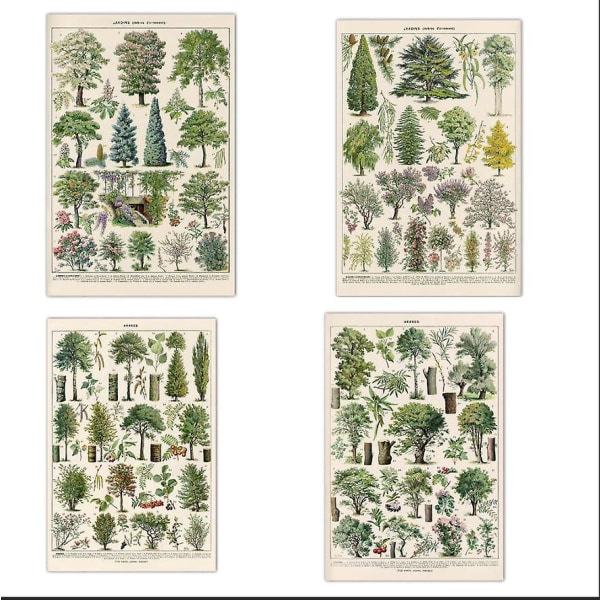 Sæt med 4 vintage træprints - Forskellige typer træer - 30 x 40 cm