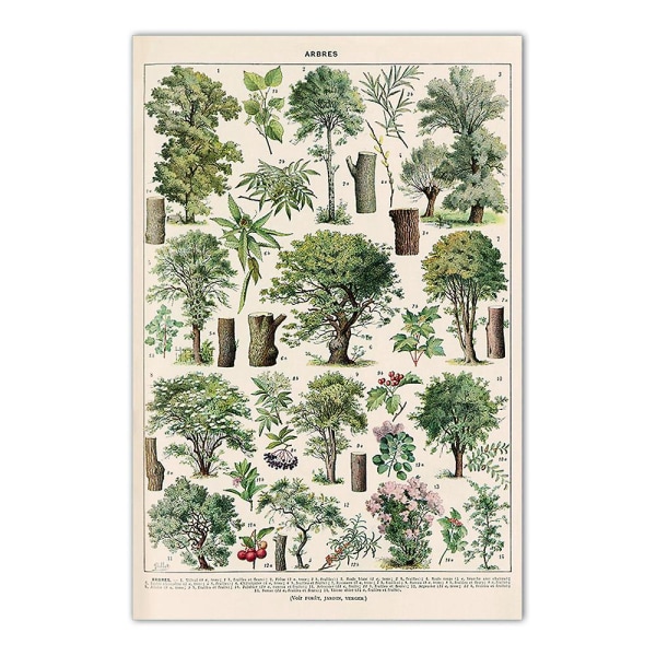 Vintage Trees print - Puutyypit (30 x 40 cm)
