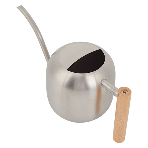 Vattenkanna Multifunktionell Hög Kapacitet Vattenkruka med Lång Pip för Inomhus Utomhus Växter 1200ML Silver