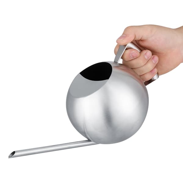 Vandkande i rustfrit stål 1000 ml med lang tud, rund spredekande til hjemmehaveplanter
