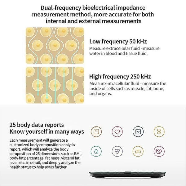 Xiaomi Mijia Body Fat Scale S400 Pro Black