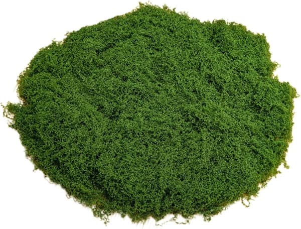 [LLC] Artificial Moss 50g Plastic Artificial Moss Realistic Look Artificial Moss Natural Artificial Green Lichen Plants for Plant Pot Cr