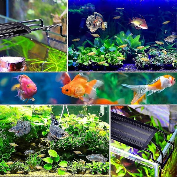 Akvarium LED-lys med timer, fuldt spektrum, dæmpbar i 10 niveauer, justerbar 6/10/12 timer til akvarium SPL-45