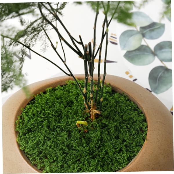 [LLC] Artificial Moss 50g Plastic Artificial Moss Realistic Look Artificial Moss Natural Artificial Green Lichen Plants for Plant Pot Cr