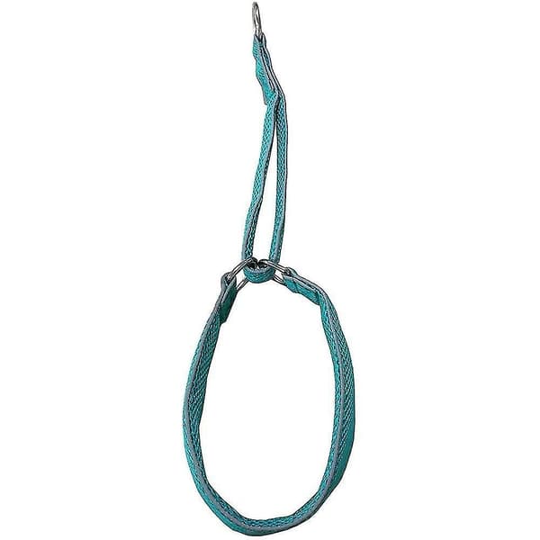 Pet Cuisine Dobbel-lags Mesh Reflekterende Hundehalsbånd For Gåing Løping Fotturer