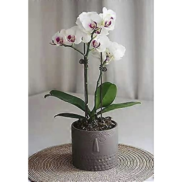 Set med 2 Keramiska Blomkrukor för Suckulenter - Ansiktsdesign - För Vardagsrum, Kontor - Vit