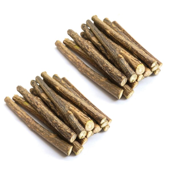 30pcs Natural Silvervine Sticks For Catnip Sticks Matatabi Chew Sticks Teeth Molar Chew Toys For Ca