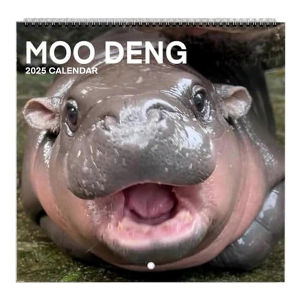 Moo Deng Hippo 2025 -kalenteri 12 kuukautta Kääpiövirtahevon seinäkalenteri Ripustettava kuukausittainen kalenteri aikatauluttamiseen, järjestämiseen ja suunnitteluun