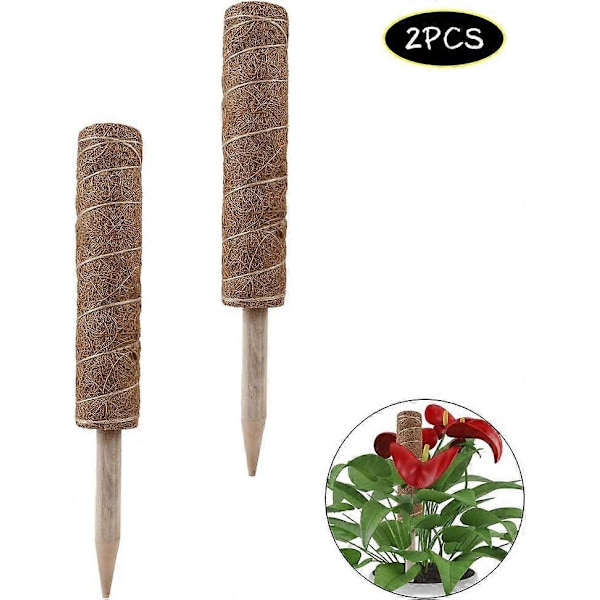 WJTG 2-pack Kokosfiber Totempåle, Växt Kokos Moss Pinne Växtstöd Stake för Klättrande Inomhusväxter Stöd Förlängning, KlätterväxterJ
