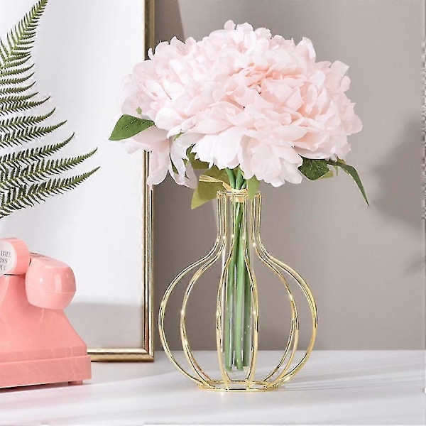 Glasblomstervase med metalramme, reagensglasvase til hydroponisk plante, vase køkken kontorbord To6417242331870