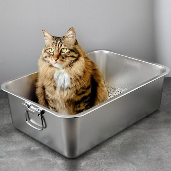 Rektangulär Kattlåda i Rostfritt Stål, Brottsäker, Låg Ingång, Öppen, Rymlig Metallåda, Tillbehör för Husdjur M 1